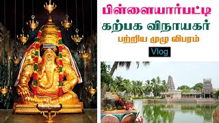 pillayarpatti temple  pillayarpatti tourist places  spice vlogs [upl. by Blaze]