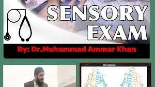 Neurological Examination Sensory System Part4 medicine neurology sensory examination mbbs [upl. by Tijnar311]