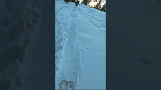 Grizzly gulch splitboarding skiing snow backcountryskiing [upl. by Sixla]