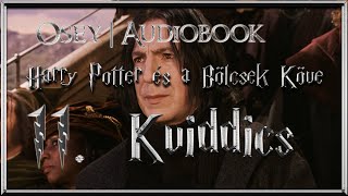 Harry Potter és a Bölcsek Köve hangoskönyv  11 fejezet [upl. by Heurlin60]