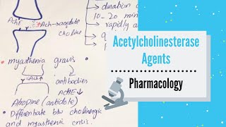 ANTICHOLINESTERASE AGENTS REVERSIBLE  INDIRECTACTING CHOLINERGIC AGONISTS PHARMACOLOGY [upl. by Adliw]