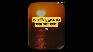 যে ব্যক্তি মৃত্যুকে সব সময় সরণ করে। সেরা hadis sura mizanurrahmanazhari abutohaadnan tiktok [upl. by Yadnil]