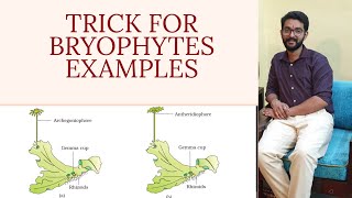 BRYOPHYTES EXAMPLESTRICK [upl. by Torto]