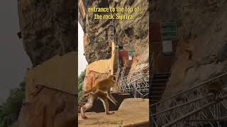 Sigiriya Sri Lanka travel Wanderlust shorts short [upl. by Davidoff]