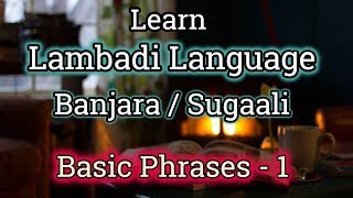 Learn Lambadi  Sugaali  Banjara Language  Basics Phrases 1 [upl. by Kcirrem]