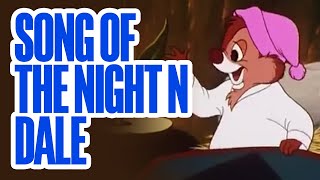 Chip n Dale Rescue Rangers  Song of the Night n Dale [upl. by Jacquet]