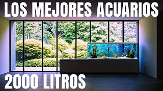 NUEVO MEGA ACUARIO NUEVO MEGA PROYECTO [upl. by Zedecrem651]