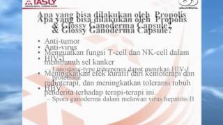 Tasly Propolis amp Glossy Ganoderma Capsule [upl. by Gene]