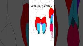 Anatomy drawing practice Pt 5 drawing anatomy sketch digital art [upl. by Keele872]