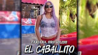 Farina ft Oro SólidoEl Caballito  Intro  Outro Break  171Bpm Dj Ronaldo El Mago De Las Mezclas [upl. by Barrus15]