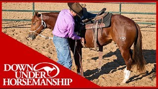 Clinton Anderson An Overview of Starting a Colt  Downunder Horsemanship [upl. by Nwahser456]