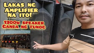 Malakas pala ang D10 module amplifier kaya niya ang 1300w na speakerganda ng tunog [upl. by Inalaek]