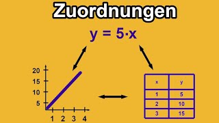 Zuordnungen Übersicht  ProportionalAntiproportional  Das erwartet dich in dieser Playlist [upl. by Nadruoj]