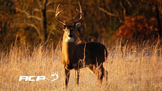 Chasse au chevreuil Sépaq Anticosti 2017 [upl. by Aehta]