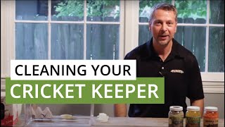 Cleaning Your Cricket Keeper  Flukers Farms [upl. by Stent]