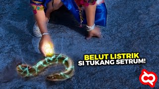 Ikan Air Tawar Mematikan Pembuktian Kekuatan Sengatan Belut Listrik yang Sungguh Mengejutkan [upl. by Htebaras943]