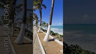 Parnamirim rio grande do norte subscribe brasil nordeste natalrn shortvideo [upl. by Laynad474]