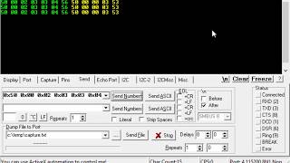 How to Send a Hex Command over a Serial Port and Receive a response using RealTerm [upl. by Zalucki]