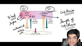 Derangements of Homeostasis and Haemodynamics [upl. by Ennairb817]