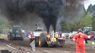 Dingo 2500kg Modified  1st DM Tractor Pulling [upl. by Essirahc657]