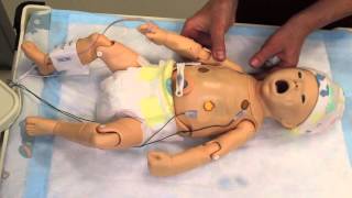 Mannequin Orientation to Gaumard Newborn Hal [upl. by Aneleairam166]