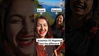 How Similar is NAGAMESE and ASSAMESE  Assam  Nagaland [upl. by Chiarra]