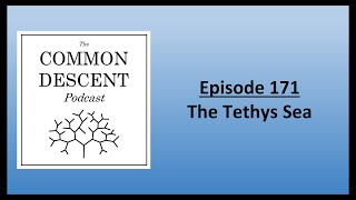 Episode 171  The Tethys Sea [upl. by Oijile]