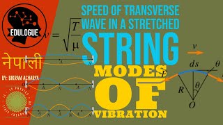 SPEED OF TRANSVERSE IN A STRETCHED STRING  Modes of Vibration  in Nepali [upl. by Ubana]