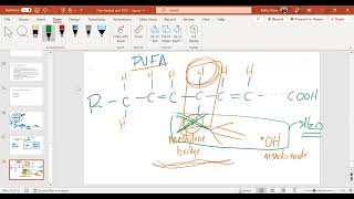 Lipid Peroxidation [upl. by Royo]