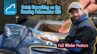 Running Paternoster Feature   Match Fishing  ASFishingTV [upl. by Nawek]