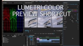 Lumetri Color Preview Shortcut [upl. by Arukas]