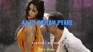 AA RE PRITAM PYARE  Slowed  Reverb   SAJID  WAJID  TATVAZ MUSIC [upl. by Lenssen762]