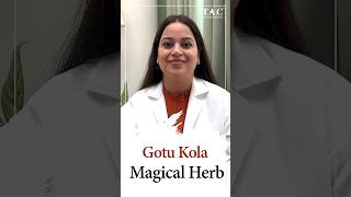 Gotu Kola Benefits  Skin  Health [upl. by Nonnac]