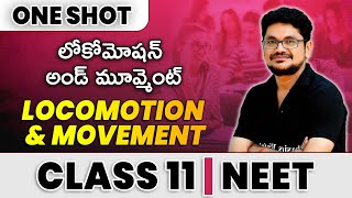 LOCOMOTION AND MOVEMENT in 1 Shot  All Theories amp PYQs Covered  Class 11 NEET [upl. by Mines]