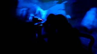 DisneyLand Trip 2014 Bobsled Matterhorn Pt2 Night Time [upl. by Urana713]