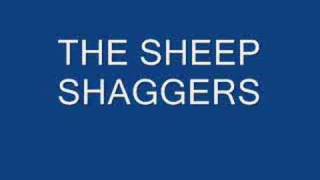 sheep shaggers [upl. by Mayhew]