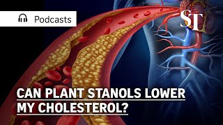 Can plant stanols lower my cholesterol  Health Check [upl. by Onitsuaf]