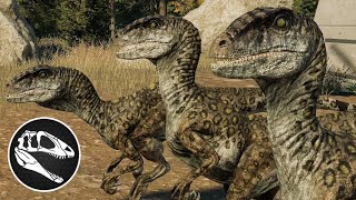 6 Deinonychus vs 6 Velociraptor  JWE 2 Mods 4K 60FPS [upl. by Attinahs68]