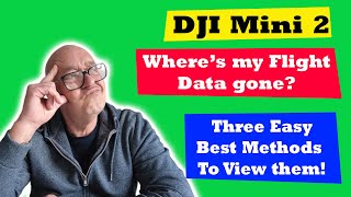 DJI mini 2 Flight Data  how to view  3 best methods [upl. by Araes536]