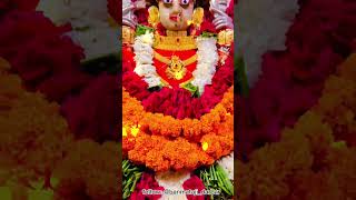 Baan mataji ka new status 🙏🙇‍♀️ baanmatajibhajan youtubeshorts brahmanimaachittorgarh shorts [upl. by Enelez458]