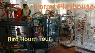 How to Set Up a Bird Room in Your Home  Parrot Care [upl. by Nanice]