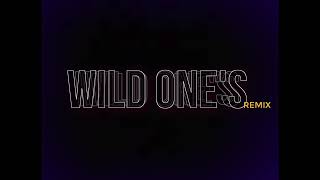 Kng Ego  Wild Ones quotremixquot [upl. by Tegdig]