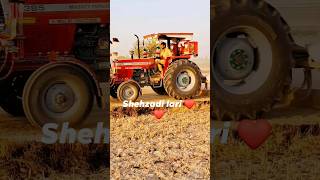 New Massey Ferguson 385 4WD Tractor Working Extra Heavy DutyTractors with CultivatorDG Tractor [upl. by Shelton311]