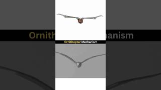 Mechanical Engineering 3D Project  Ornithopter Mechanism ❤️😍 cad solidworks project [upl. by Ardnajela]