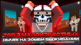 🧟 Топ 3 малоизвестных нычек на зомби выживании  Block Strike [upl. by Nosnar]