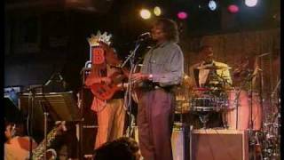 BBKing amp Albert Collins  Call It Stormy Monday  Live [upl. by Ahidam882]