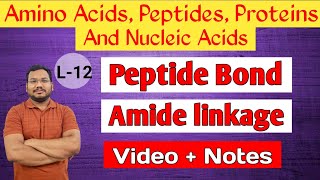 Peptide bond formation  Amide linkage  BSc  MSc  Chemistry  by pankaj sir [upl. by Luther]