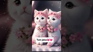 cutiepie 😊😊😊 love song lyrics  subscribe me viralvideo [upl. by Torruella]