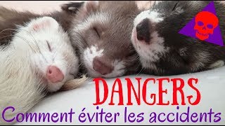 DANGERS les accidents domestiques  Les Furets Malins [upl. by Fugate]