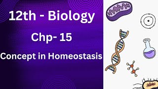 Homeostasis Introduction  Concept in homeostasis overview full explained in urdu hindi  class 12 [upl. by Manfred115]